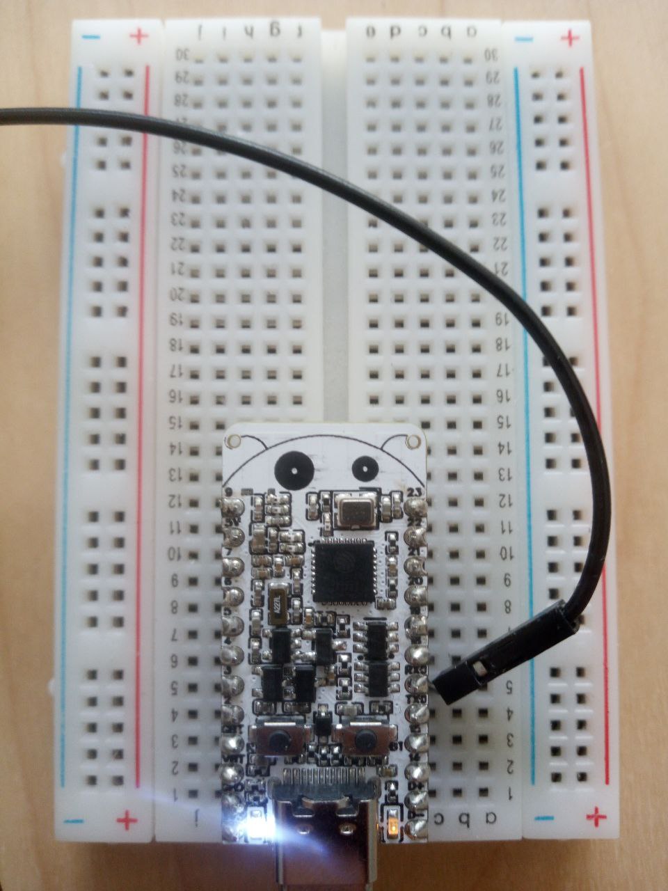 Led on