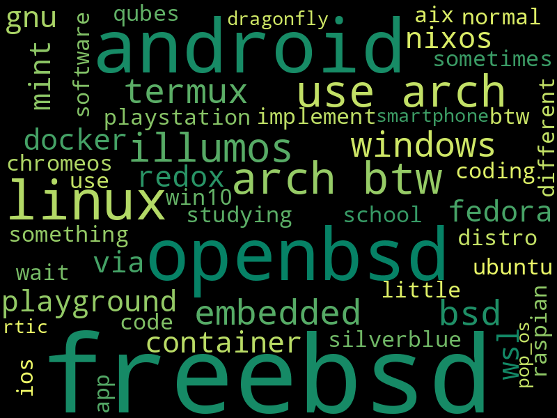 which-os-do-you-use-wordcloud.png